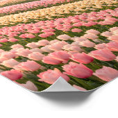 Pastel Tulip Fields Poster - Spring Flower (Ecke)