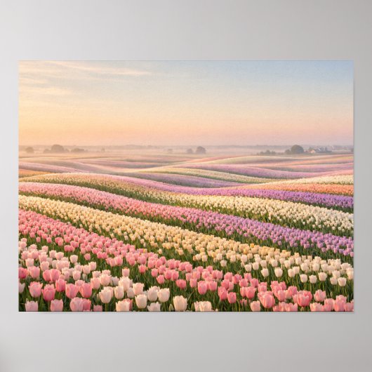 Pastel Tulip Fields Poster - Spring Flower (Vorne)