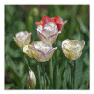 Pastel Tulips Fotodruck