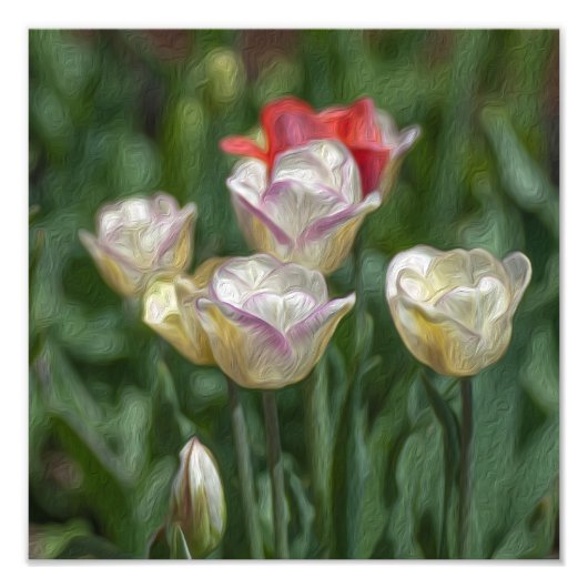 Pastel Tulips Fotodruck (Vorne)