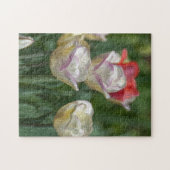 Pastel Tulips Puzzle (Horizontal)