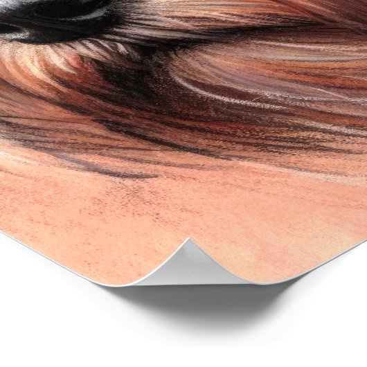 Pastel Zeichn eines Schnauzer-Hundes Poster (Ecke)