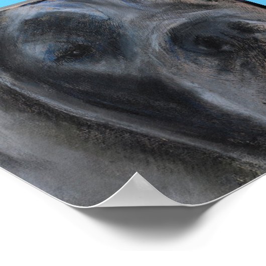 Pastel zeichnend Blue Great Dane Poster (Ecke)