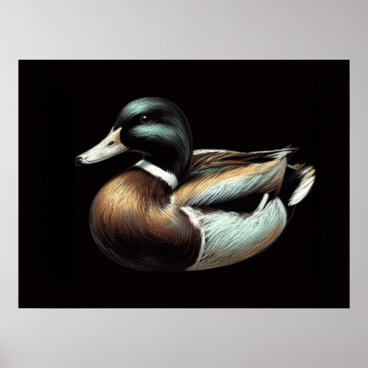 Pastel Zeichnend Duck Decoy Poster (Vorne)