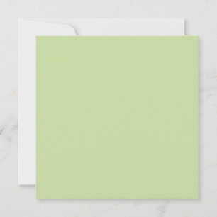 Pastell Apfelgrün einfarbig Karte