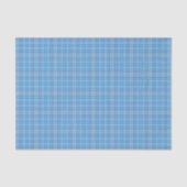 Pastell Blue Kariert Seidenpapier (Vorderseite)