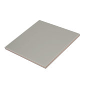 Pastell-Mittelgrau-Taupe-Vollton-Fliese Fliese (Seite)