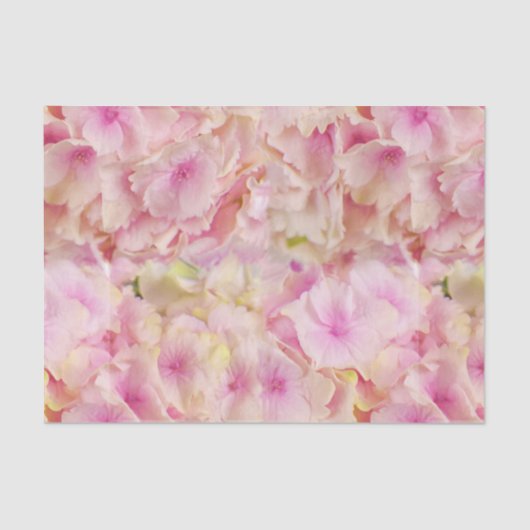 Pastell Pink Hydrangeas Tissue Paper Seidenpapier (Vorderseite)