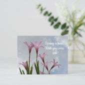 Pastell Pink Rain Lilies Floral Vermisst Sie Postkarte (Stehend Vorderseite)