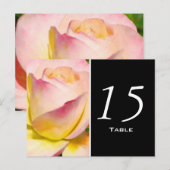 Pastell Rose Tischnummer Postkarte (Vorne/Hinten)