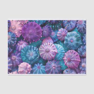 Pastell Seeigel Türkblau und Violett Seidenpapier