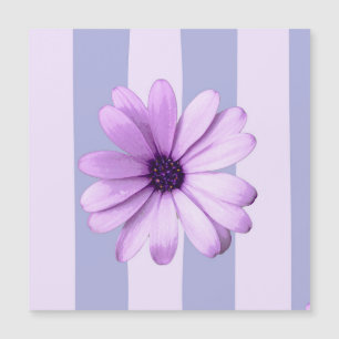 Pastell-Streifenmuster mit Gänseblümchen Magnetkarte