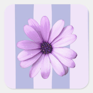 Pastell-Streifenmuster mit Gänseblümchen Quadratischer Aufkleber