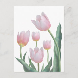 Pastell-Tulpen-Blumendesign Postkarte