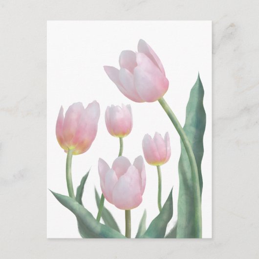 Pastell-Tulpen-Blumendesign Postkarte (Vorderseite)