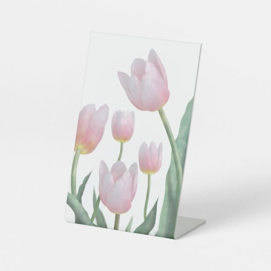 Pastell-Tulpen-Blumendesign Sockelschild (Vorderseite)