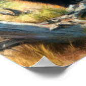 Pastell Zeichnend Grizzly Bär in der Natur Poster (Ecke)