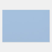 Pastellblau Schlichte Farbe Geschenkpapier Set (Vorderseite)