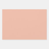 Pastellfarbe F1B9A3 Umhüllungspapierblätter Geschenkpapier Set (Vorderseite 3)