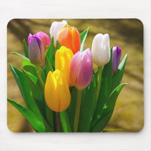 Pastellfarbtulpe mousepad (Vorne)
