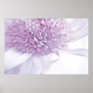Pastelllavendel-Blume Poster