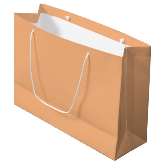 Pastellorange Große Geschenktüte (Vorderseite Schrägansicht)
