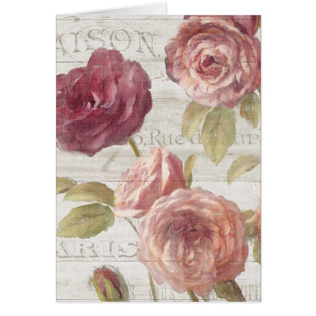 Pastellrosa-Franzose-Rosen (Vorne)