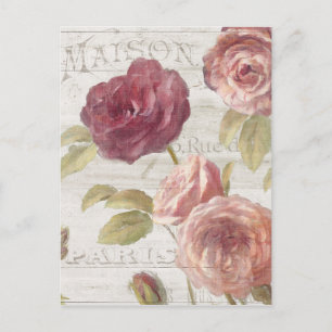 Pastellrosa Französische Rose Postkarte