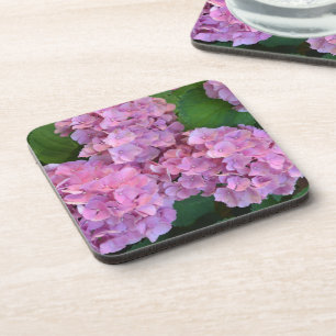 Pastellrosa Hortensia Hydrangea Blume Getränkeuntersetzer