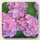 Pastellrosa Hortensia Hydrangea Blume Getränkeuntersetzer (Vorderseite)