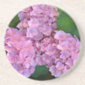 Pastellrosa Hortensia Hydrangea Blume Getränkeuntersetzer (Vorne)