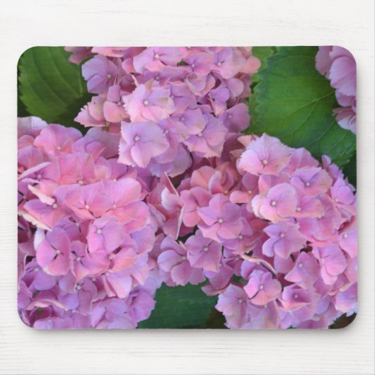 Pastellrosa Hortensia Hydrangea Blume Mousepad (Vorne)