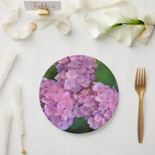 Pastellrosa Hortensia Hydrangea Blume Pappteller