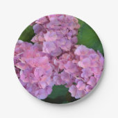 Pastellrosa Hortensia Hydrangea Blume Pappteller (Vorderseite)