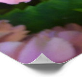 Pastellrosa Hortensia Hydrangea Blume Poster (Ecke)