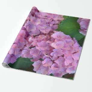 Pastellrosa Hortensia hydrangea Blüte Geschenkpapier