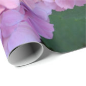 Pastellrosa Hortensia hydrangea Blüte Geschenkpapier (Rolleneckpunkt)