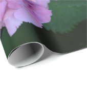 Pastellrosa Hortensia hydrangea Blüte Geschenkpapier (Rolleneckpunkt)