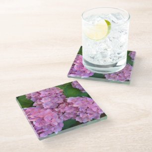Pastellrosa Hortensia hydrangea Blüte Glasuntersetzer