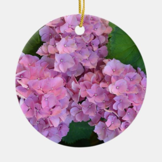 Pastellrosa Hortensia hydrangea Blüte Keramik Ornament (Vorne)