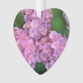 Pastellrosa Hortensia hydrangea Blüte Ornament (Vorderseite)
