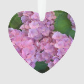 Pastellrosa Hortensia hydrangea Blüte Ornament (Vorderseite)