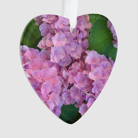 Pastellrosa Hortensia hydrangea Blüte Ornament (Vorderseite)