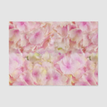 Pastellrosa Hortensien Seidenpapier