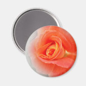 Pastellrosa Magnet (Vorderseite/Rückseite)