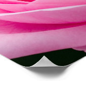 Pastellrosa Rose Poster (Ecke)