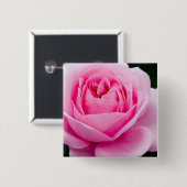 Pastellrosa-Rosen-Button Button (Vorne & Hinten)