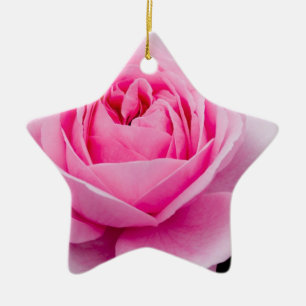 Pastellrosa-Rosen-Verzierung Keramik Ornament