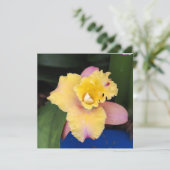 Pastellrosa und Gelborchid (Stehend Vorderseite)