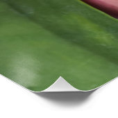 Pastellrosa und Gelborchid Poster (Ecke)